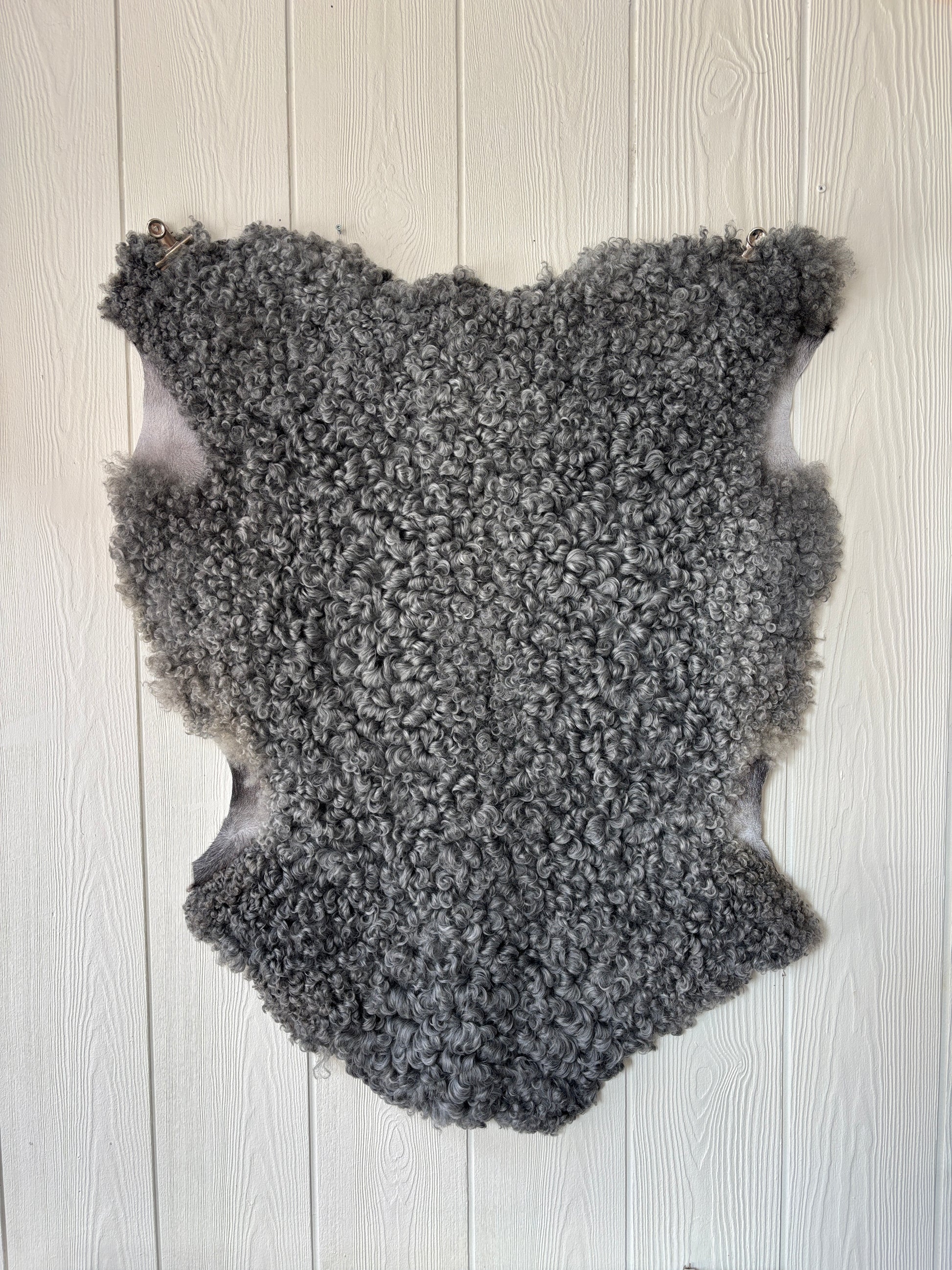Gotländskt lammskinn nr 1, naturliga lockar, ca 95×73 cm – från Nors Ekogård på Gotland